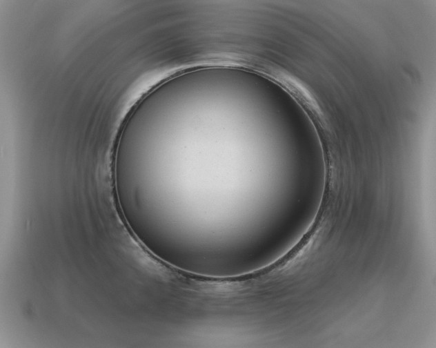 X0000115611192200911101420