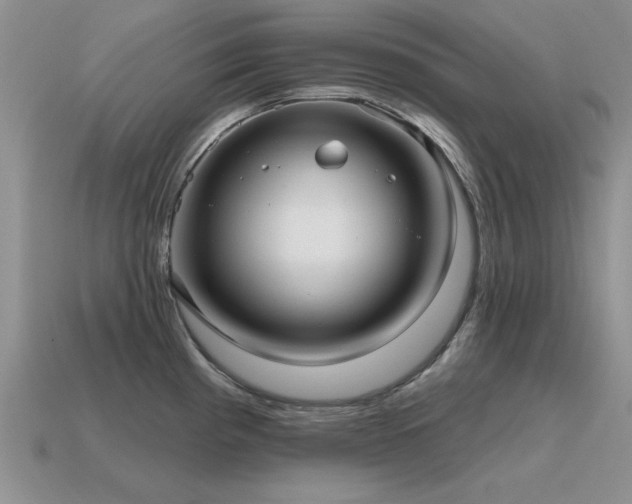 X0000115611193200911101420