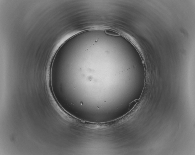 X0000115611195200911101420
