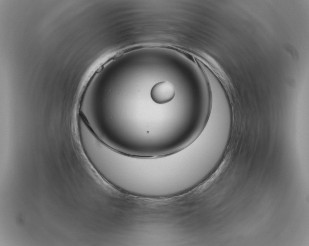 X0000115611196200911101420