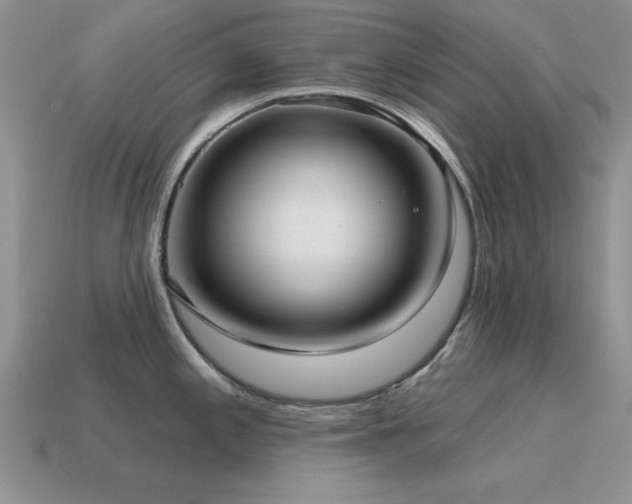 X0000115611197200911101420