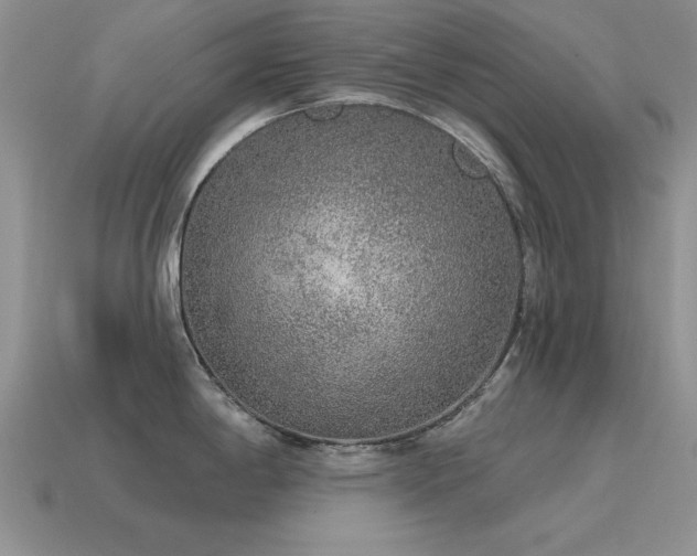 X0000115611198200911101420