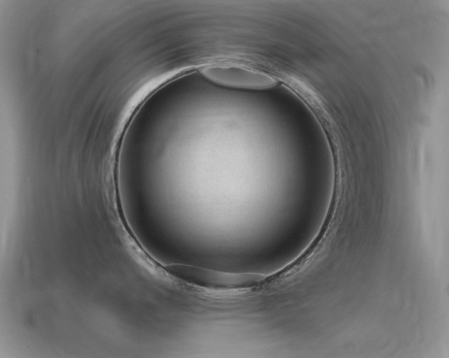 X0000115611200200911101420