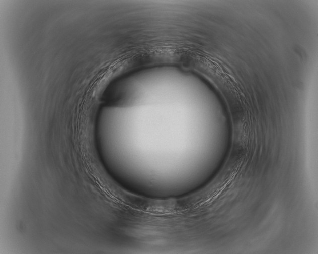 X0000115611201200911101420