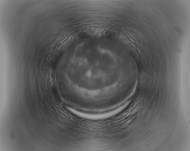 X0000115611202200911101420