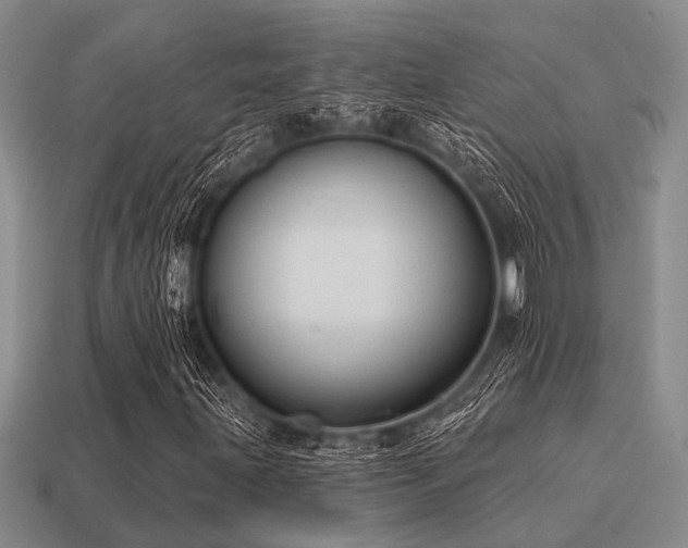 X0000115611203200911101420