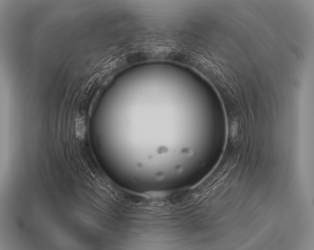 X0000115611204200911101420