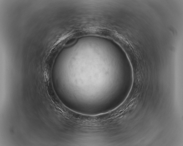 X0000115611206200911101420