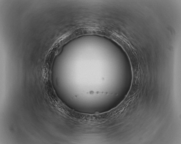 X0000115611207200911101420