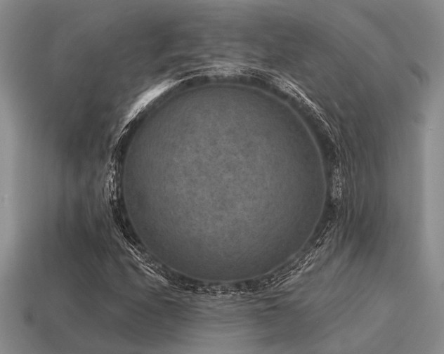 X0000115611208200911101420