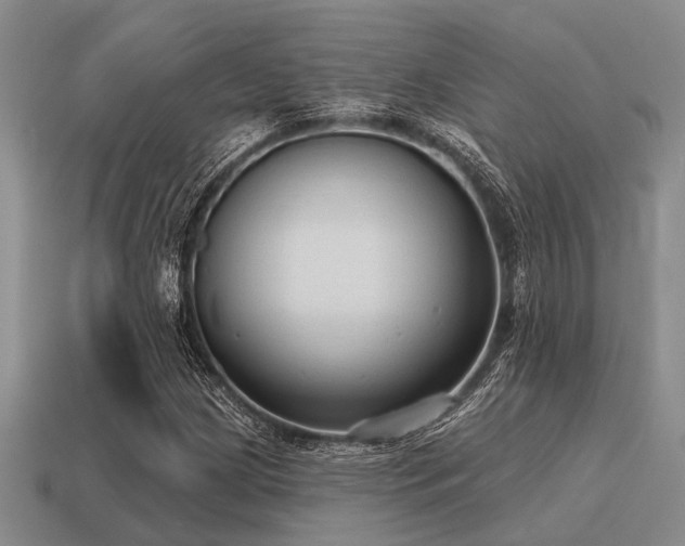 X0000115611209200911101420