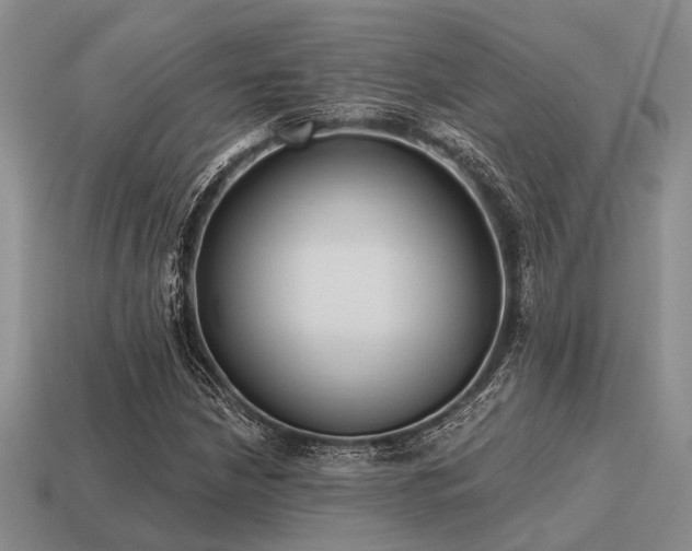 X0000115611210200911101420