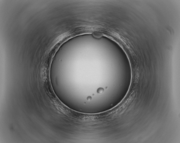 X0000115611211200911101420