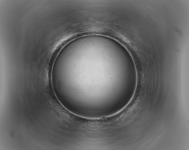X0000115611214200911101420