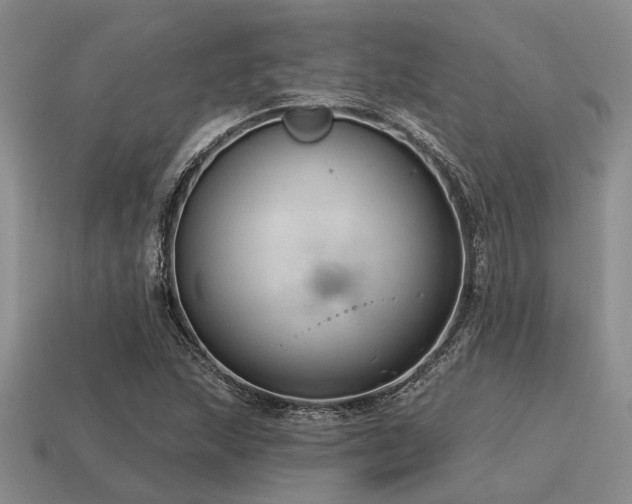 X0000115611215200911101420