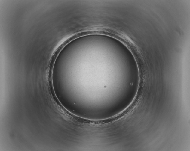 X0000115611216200911101420