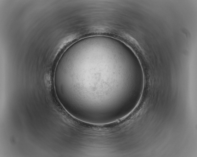 X0000115611218200911101420