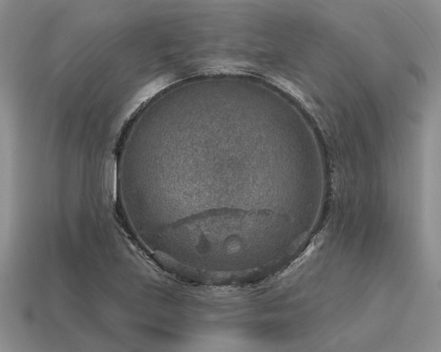 X0000115611219200911101420