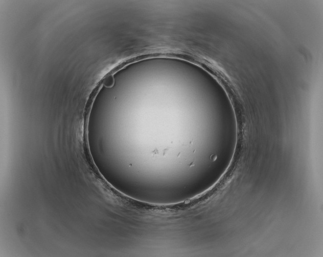 X0000115611220200911101420
