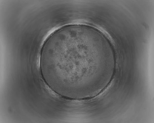 X0000115611224200911101420