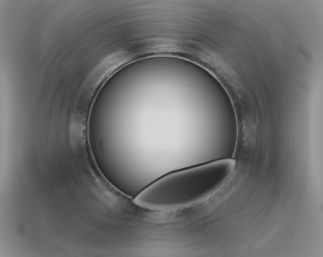 X0000115611225200911101420
