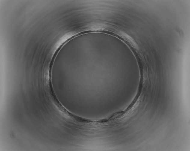 X0000115611226200911101420