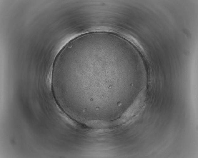 X0000115611228200911101420