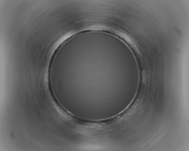 X0000115611229200911101420