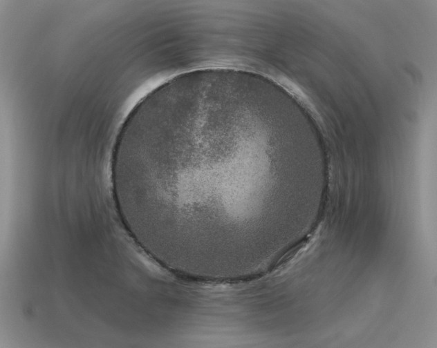 X0000115611230200911101420