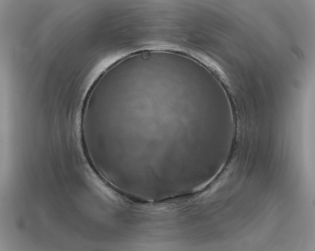 X0000115611231200911101420