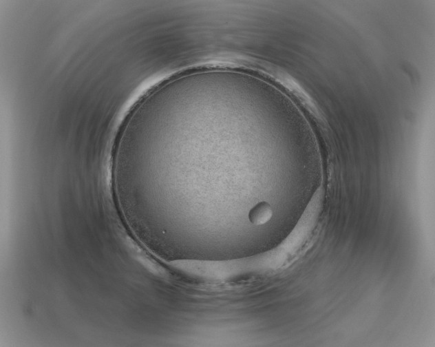 X0000115611232200911101420
