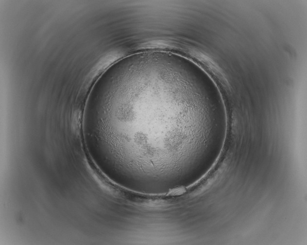 X0000115611233200911101420