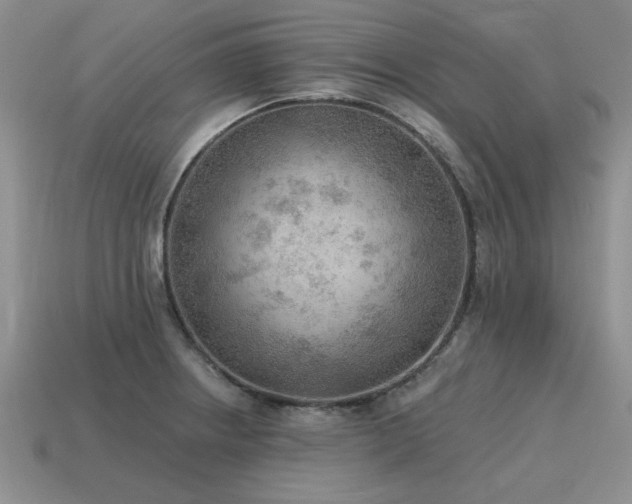 X0000115611234200911101420