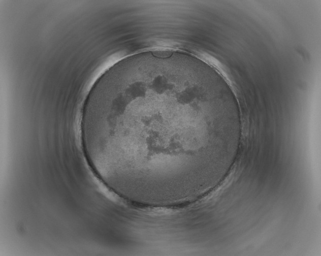 X0000115611235200911101420