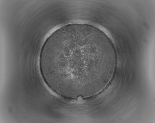 X0000115611237200911101420