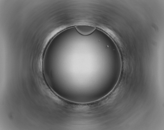 X0000115611238200911101420