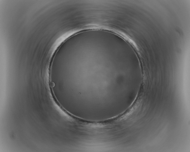 X0000115611239200911101420