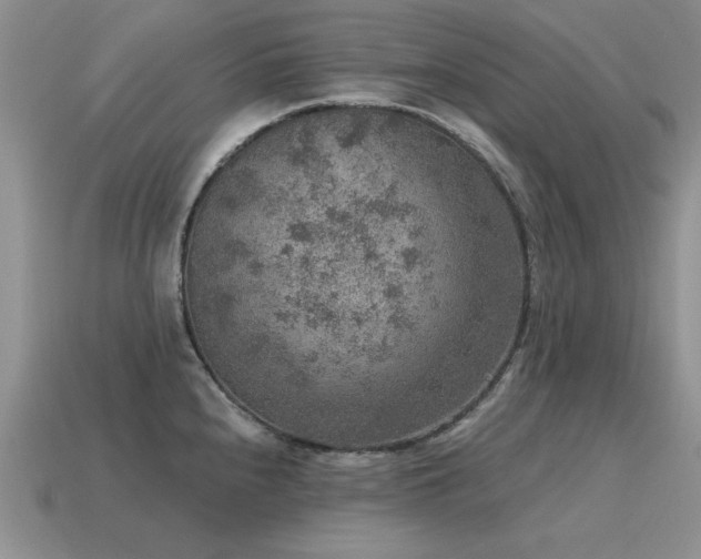 X0000115611240200911101420