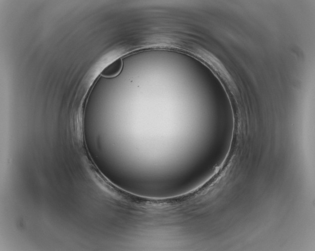 X0000115611242200911101420
