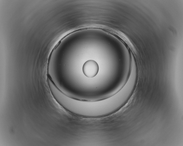 X0000115611244200911101420