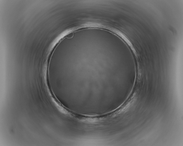 X0000115611245200911101420