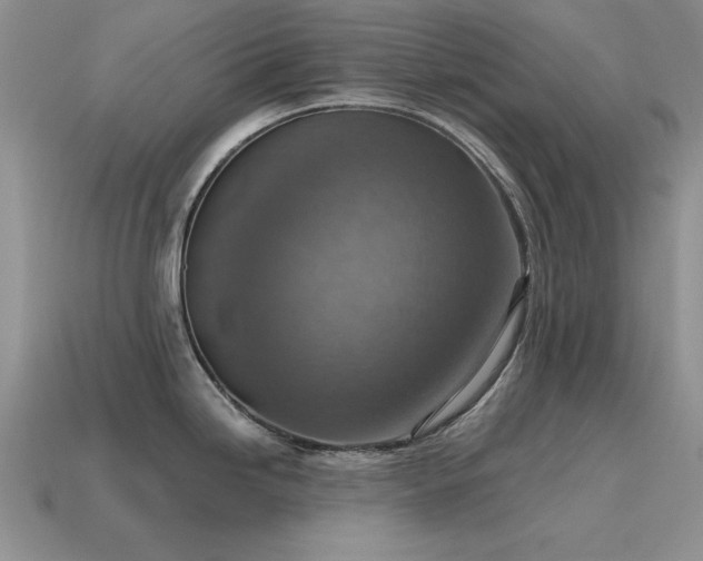 X0000115611246200911101420