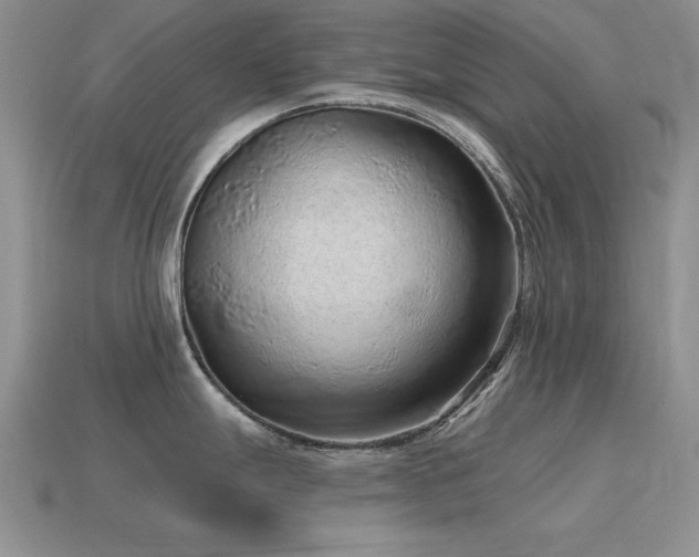 X0000115611247200911101420