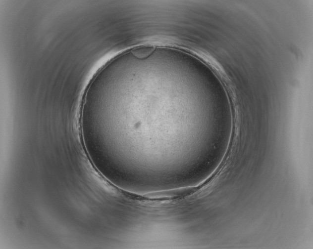 X0000115611248200911101420