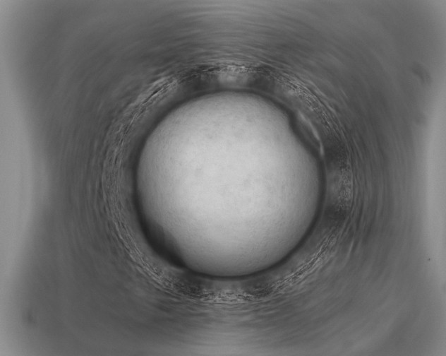 X0000115611249200911101420