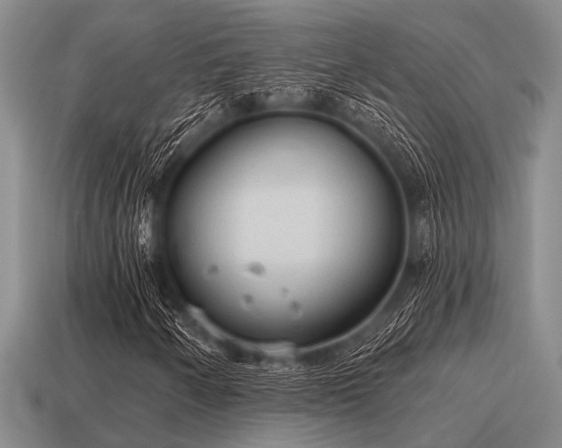 X0000115611250200911101420