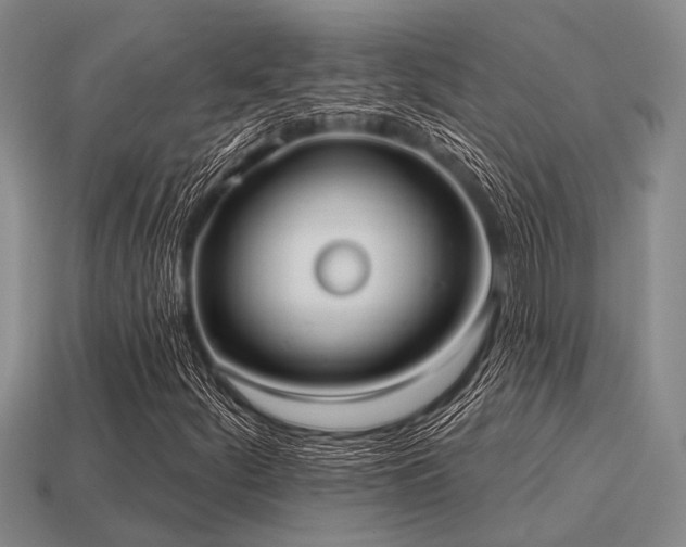 X0000115611252200911101420