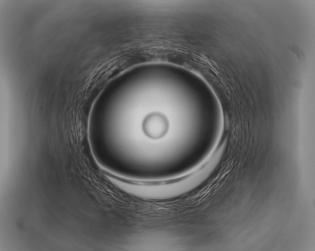 X0000115611253200911101420