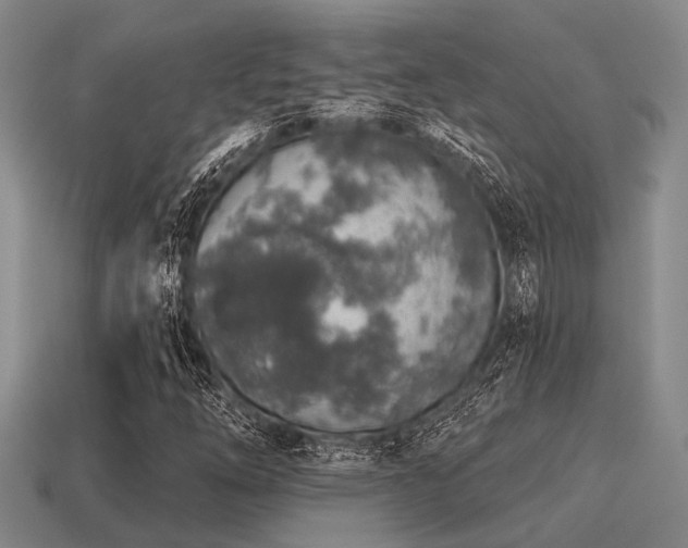 X0000115611254200911101420