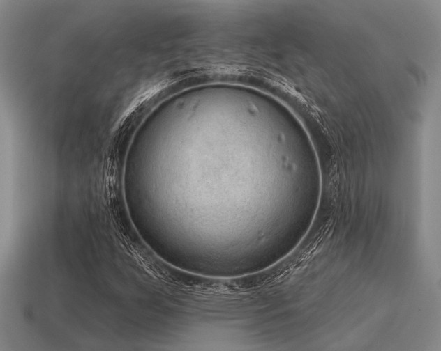 X0000115611255200911101420